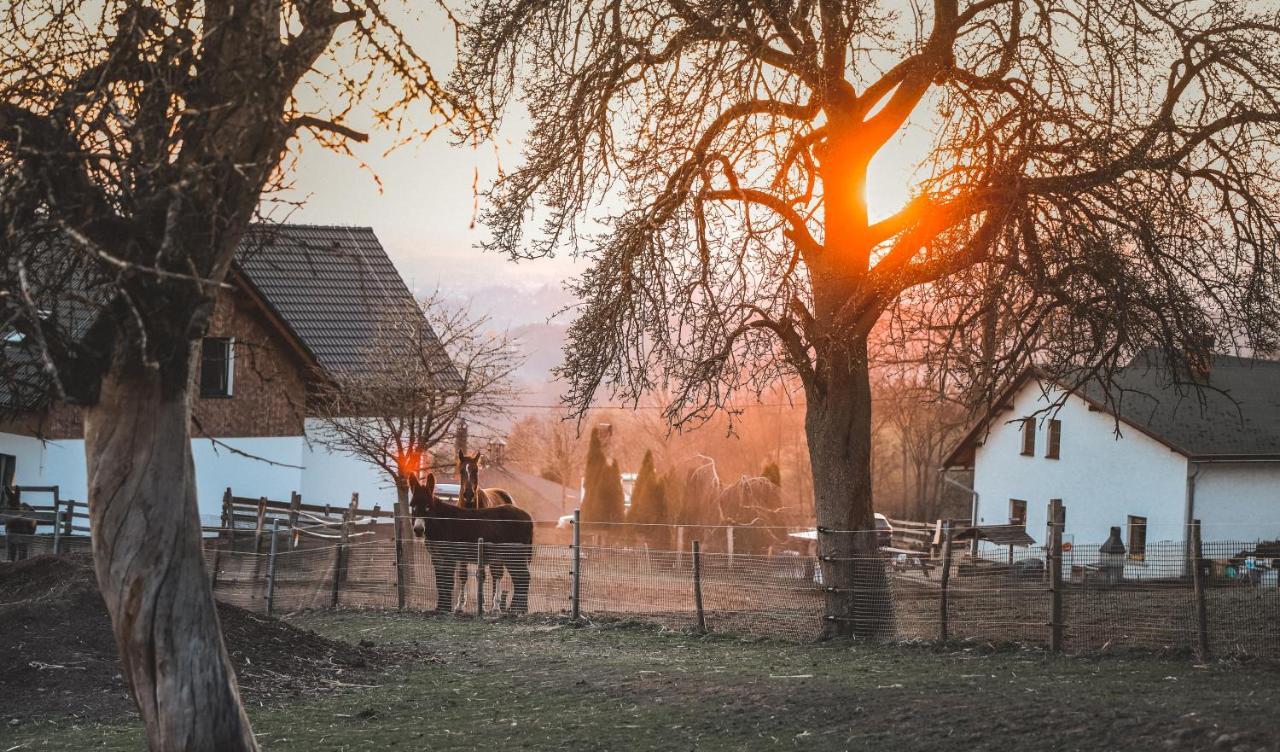 Kozakov Apartmany - Druhe Patro Tatobity Zewnętrze zdjęcie